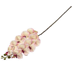 Stem for arrangement Orchid 95cm white with purple