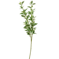 Arrangement twig 87cm green leaves