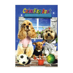 Раскраска А5 914441 B-MAX