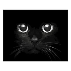 Painting by numbers 40x50cm Cat's eyes 6605320061