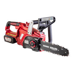 Cordless chainsaw 20V 3Ah 10'' (25cm) quick charger RDP-SCHS20 Set