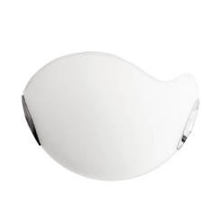 Wall lamp NEPTUN 1xЕ27 frosted glass OKTAY