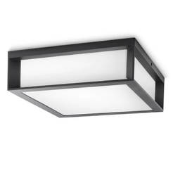 LED Плафон 14W E27 P45 IP44 SKIES антрацит PHILIPS