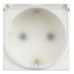 Механизъм контакт единичен 16А IP44 НС Classia Bticino бял с капак без рамка LEGRAND