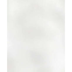 Фаянс Уейви 20 х 25см бял гланц 4330 второ качество (1кв.м./кашон)