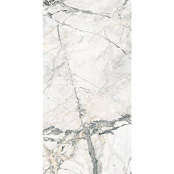 Porcelain tiles 60x120cm Arabesque 6406 R polished marble white