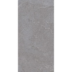 Feinsteinzeugfliesen Stoneline 30 x 60cm grau 009779KY KAI (1,62qm)