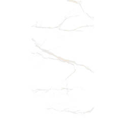 Керамическая плитка R 60x120x0.85 см, белая глянцевая, Carrara Classic