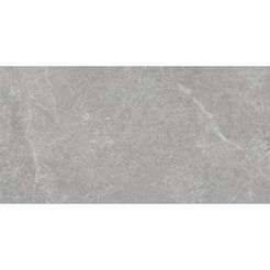 Feinsteinzeugfliesen Sturmgrau R 60x120x0,82cm matt ARGENTA