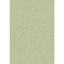 Carpet 160 x 230 cm green Dahlia 91390 Green