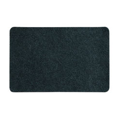 Entrance door mat Budget 40 x 60 cm, anthracite