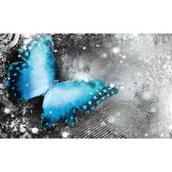 3D Фототапет за стена - Пеперуда 368 x 254см