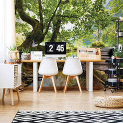 Фототапет за стена Езеро в гората 368 x 254см, с лепило