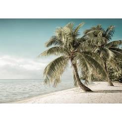 Wall photo wallpaper - Beach with a palm tree 368 x 254 cm