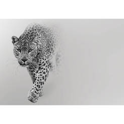 Фототапет за стена - Леопард 368 x 254см