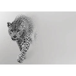 Wallpaper for wall - Leopard 368 x 254cm