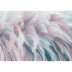 Wall photo wallpaper feathers 254 x 184 cm