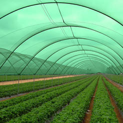 Fence net shading 70% 2m 70g/m2