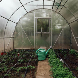 161_310x0_scale_478b24840a