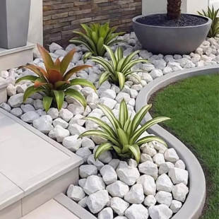 162_310x0_scale_478b24840a