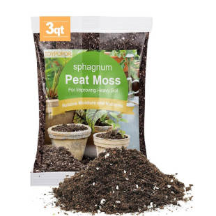 166_310x0_scale_478b24840a