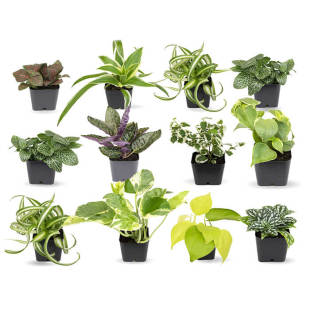 167_310x0_scale_478b24840a