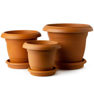 168_310x0_scale_478b24840a