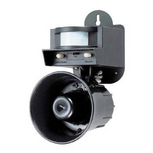 319_310x0_scale_478b24840a