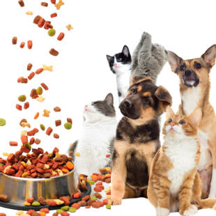 539_310x0_scale_478b24840a