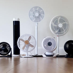 268_310x0_scale_478b24840a