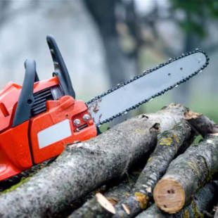 765_310x0_scale_478b24840a