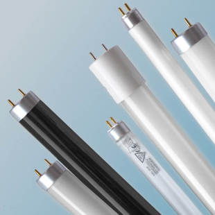 347_310x0_scale_478b24840a