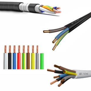 363_310x0_scale_478b24840a