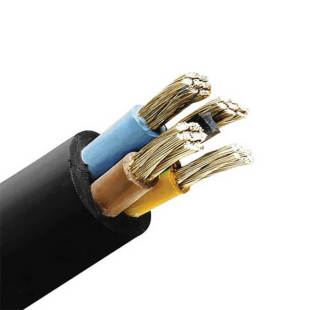 365_310x0_scale_478b24840a