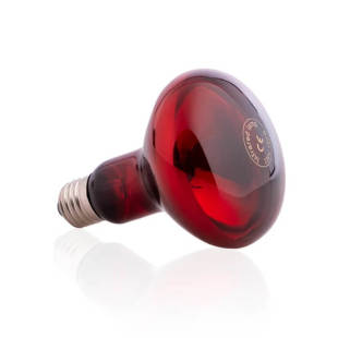 380_310x0_scale_478b24840a