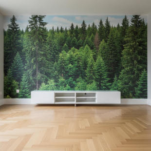 691_310x0_scale_478b24840a