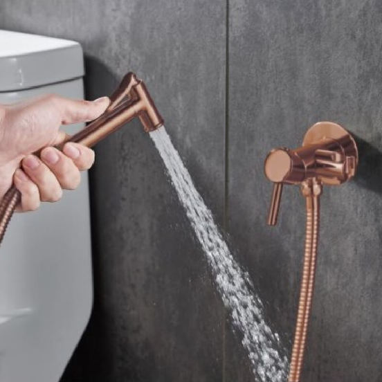 0102010847-2-smesitel-za-vgrazhdane-za-banja-elida-3314-rg-s-rychen-dush-i-shlauh-inter-ceramic_552x552_pad_478b24840a