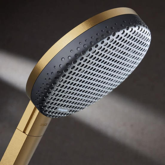 0102040764-3-rychen-dush-s-3-funkcii-f125mm-raindance-alive-select-s-hrom-hansgrohe_552x552_pad_478b24840a