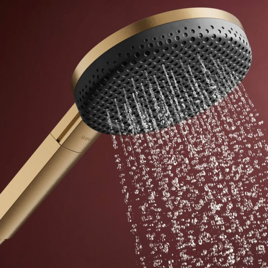 0102040764-6-rychen-dush-s-3-funkcii-f125mm-raindance-alive-select-s-hrom-hansgrohe_552x552_pad_478b24840a