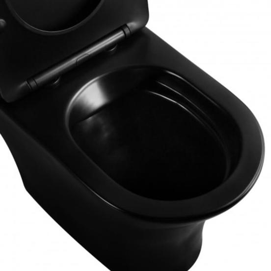 0103030248-2-monoblok-bez-ryb-rimless-s-dolno-ottichane-i-toaletna-sedalka-cheren-mat-inter-ceramic_552x552_pad_478b24840a