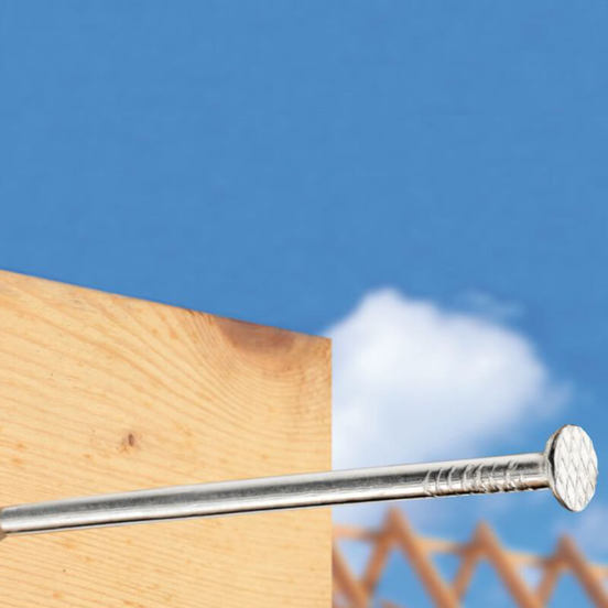 0306060099-2-gvozdei-1-4h20mm-90grblister-ky1041220-connex_552x552_pad_478b24840a