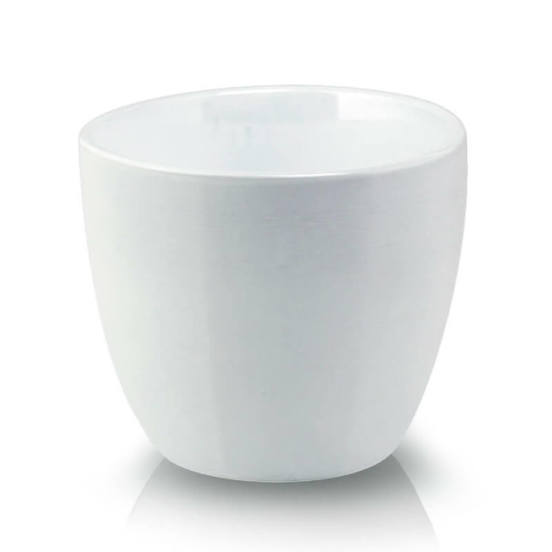 0502010787-kashpa-keramika-7h6sm-bjala-basic-cactus-polnix_552x552_pad_478b24840a