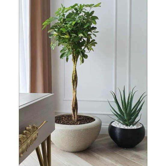 0502010795-1-kashpa-fibroglina-50h24sm-siva-ecolite-polnix_552x552_pad_478b24840a