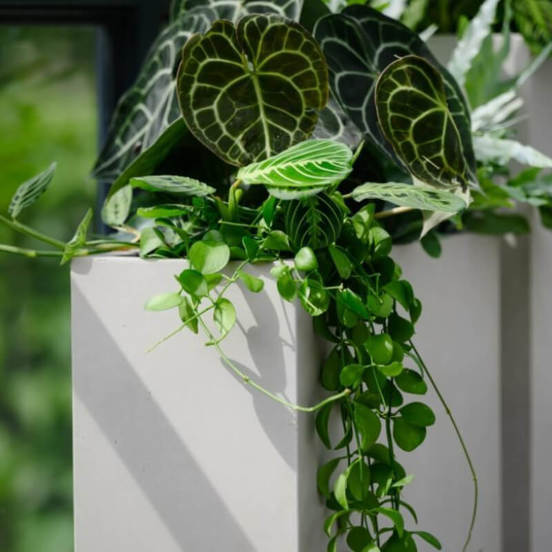 0502010804-1-kashpa-fibroglina-34h70sm-siva-ecolite-polnix_552x552_pad_478b24840a