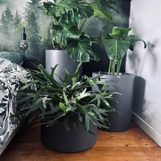 0502010806-1-kashpa-fibrostyklo-45h30sm-grafit-polnix_552x552_pad_478b24840a