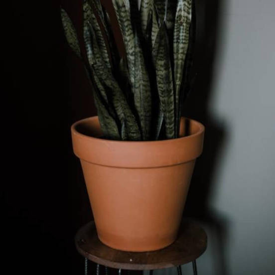 0502010820-1-saksija-keramichna-5sm-terakota-tuscan-polnix_552x552_pad_478b24840a