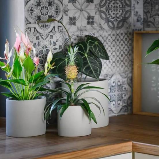 0502010861-1-keramichna-kashpa-cilindrichna-8x6sm-siva-rustic-polnix_552x552_pad_478b24840a