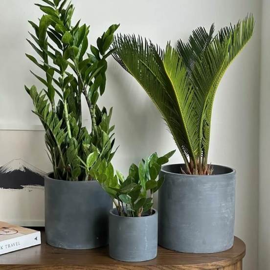 0502010864-1-keramichna-kashpa-cilindrichna-20x20sm-tymnosiva-rustic-polnix_552x552_pad_478b24840a