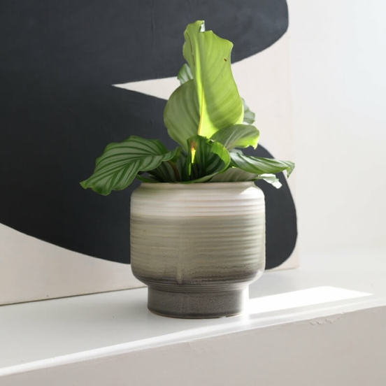 0502010865-1-keramichna-kashpa-15x16sm-3-cvjata-zeleno-vintage-polnix_552x552_pad_478b24840a