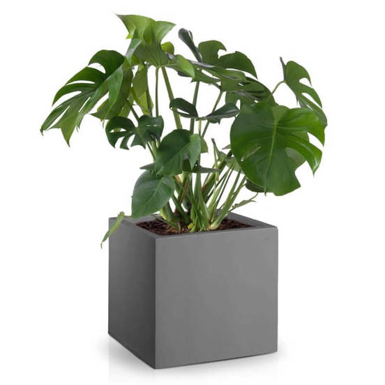 0502010869-1-kashpa-fibrostyklo-kvadratna-25sm-siva-polnix_552x552_pad_478b24840a